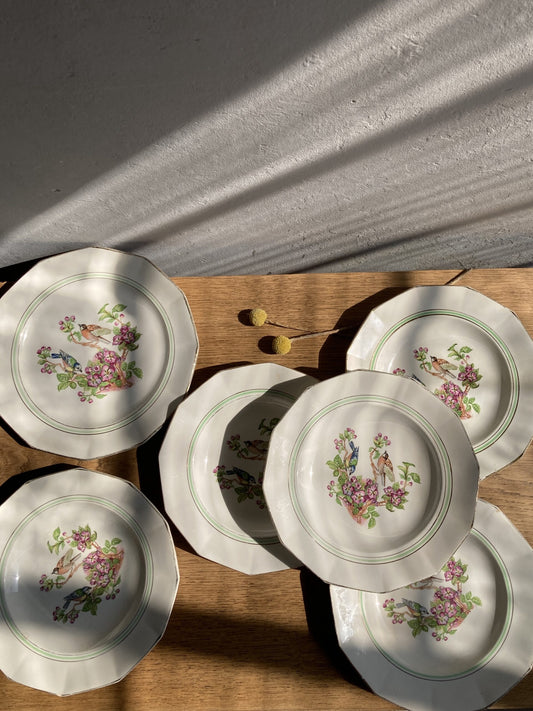 5 assiettes semi-creuses et 1 plat en porcelaine