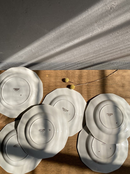 5 assiettes semi-creuses et 1 plat en porcelaine