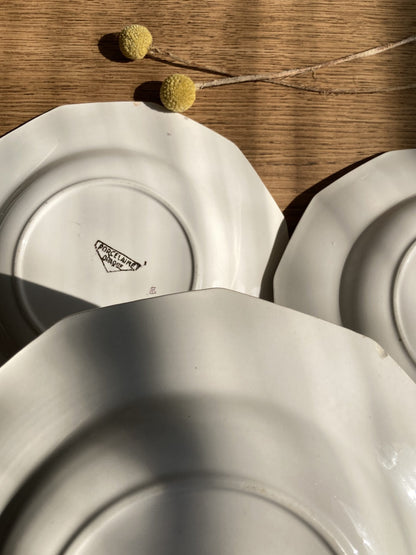 5 assiettes semi-creuses et 1 plat en porcelaine