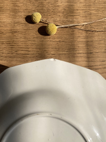 5 assiettes semi-creuses et 1 plat en porcelaine