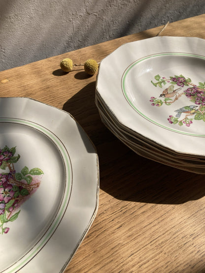 5 assiettes semi-creuses et 1 plat en porcelaine