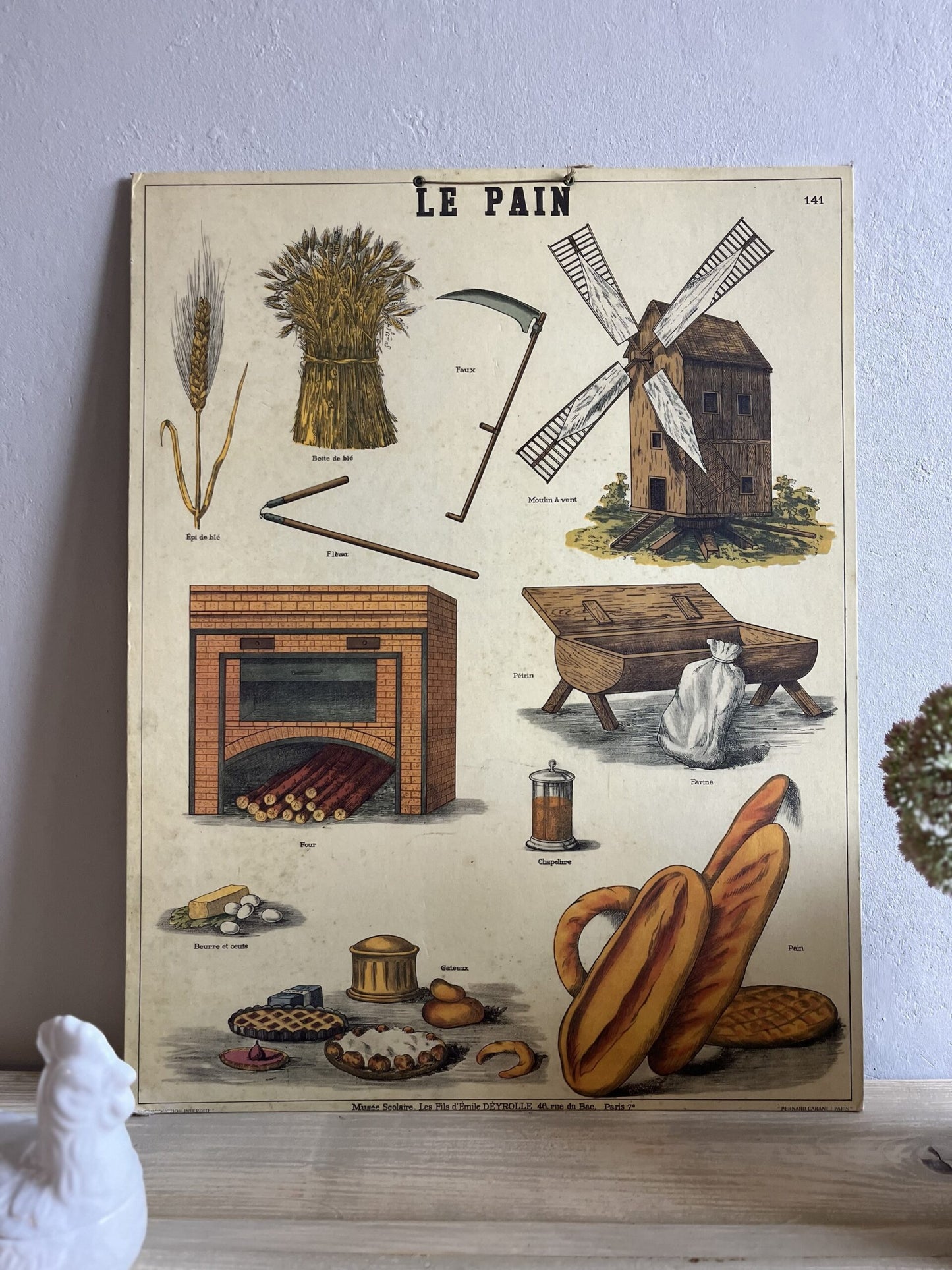 Affiche pain Deyrolle