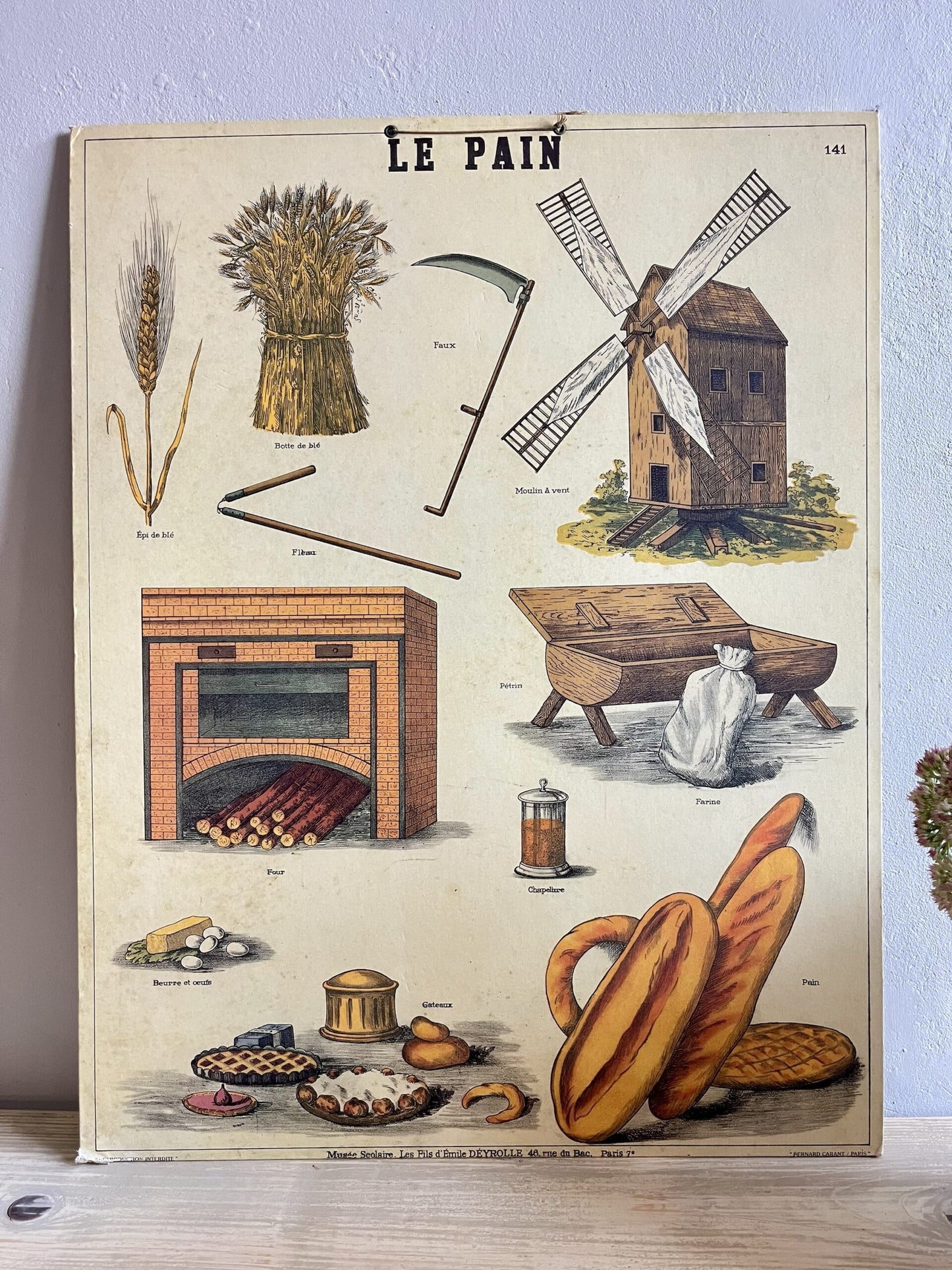 Affiche pain Deyrolle