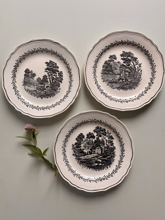 3 assiettes à dessert Ceramica Richard