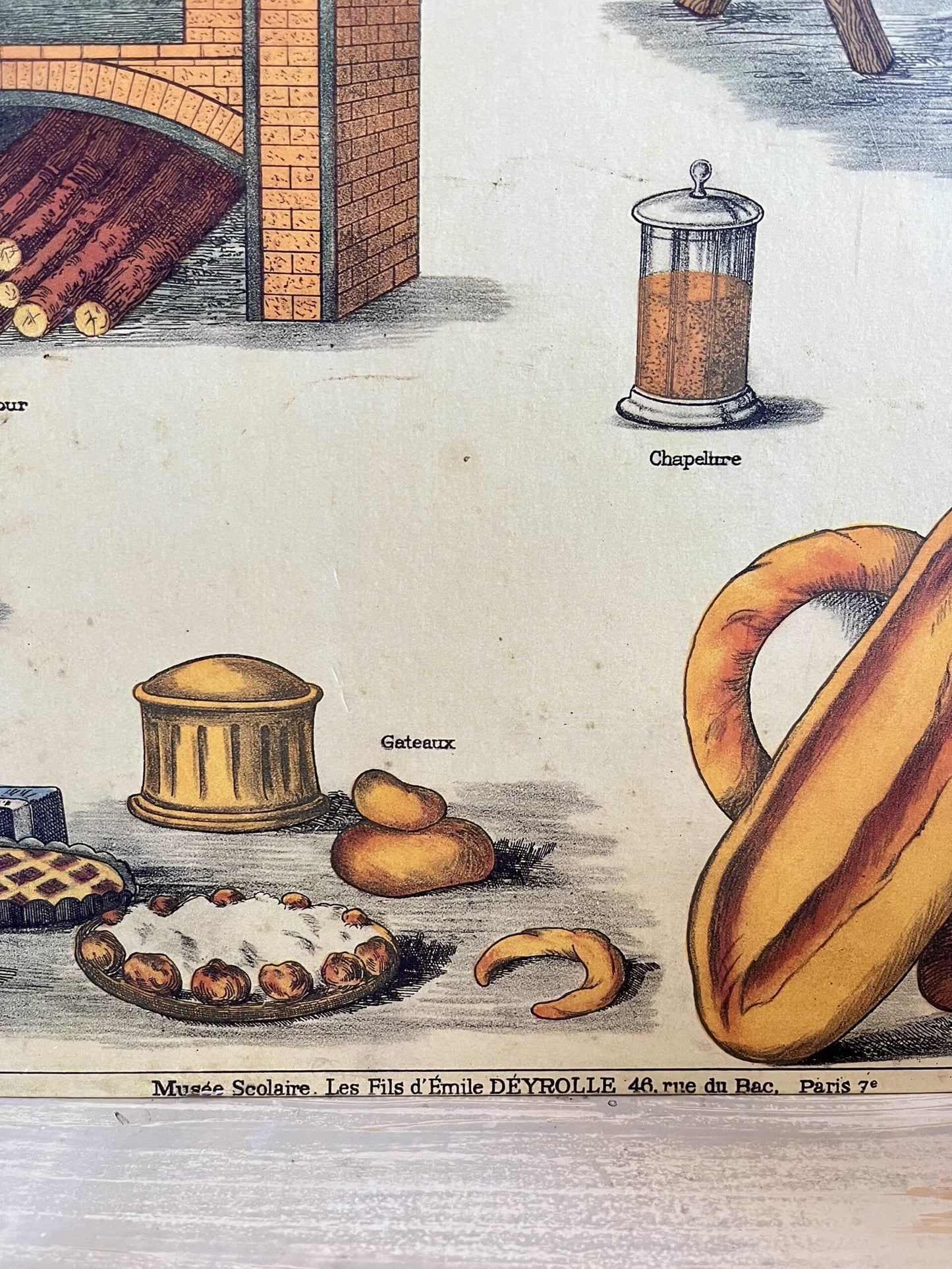 Affiche pain Deyrolle