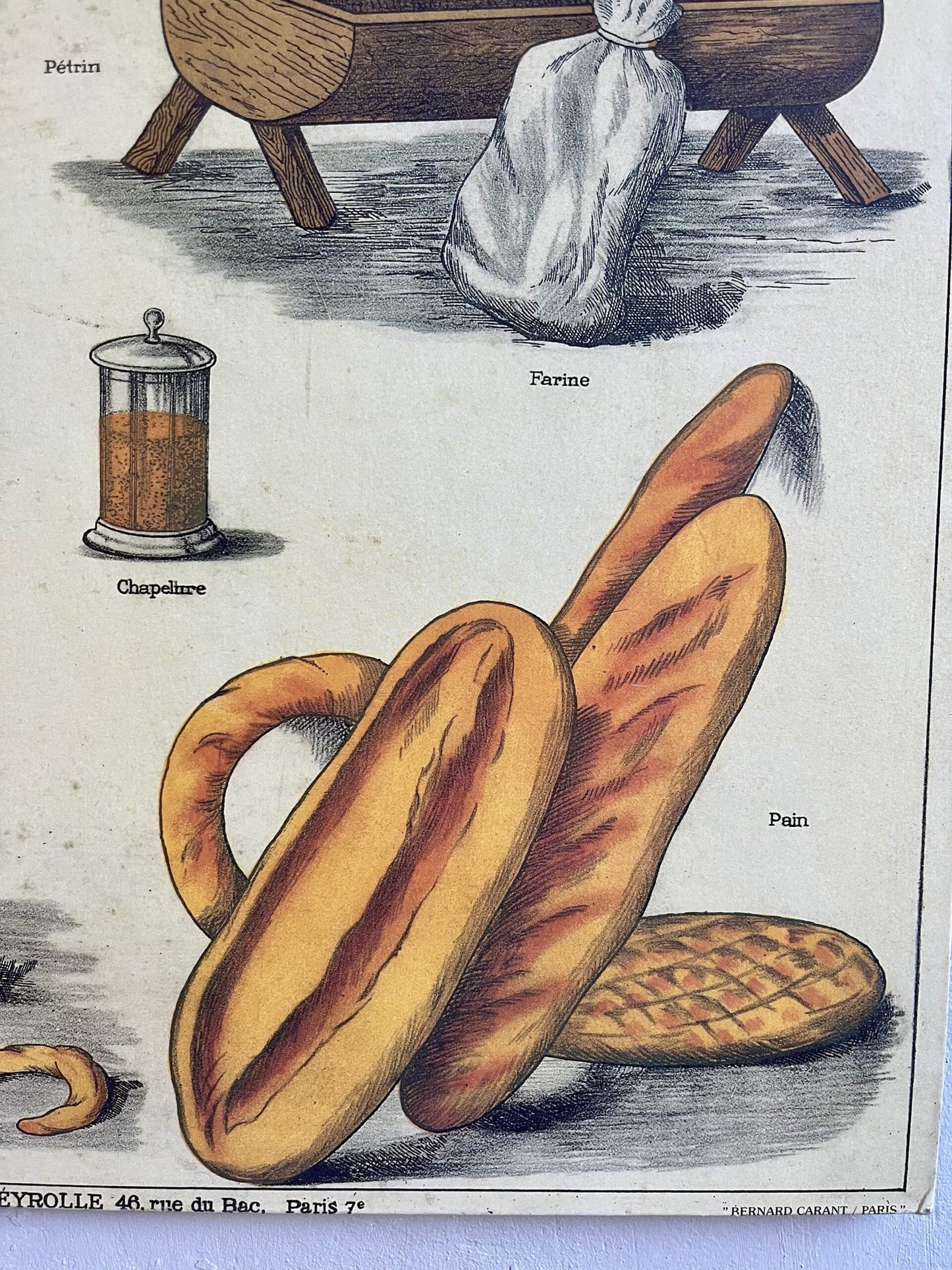 Affiche pain Deyrolle