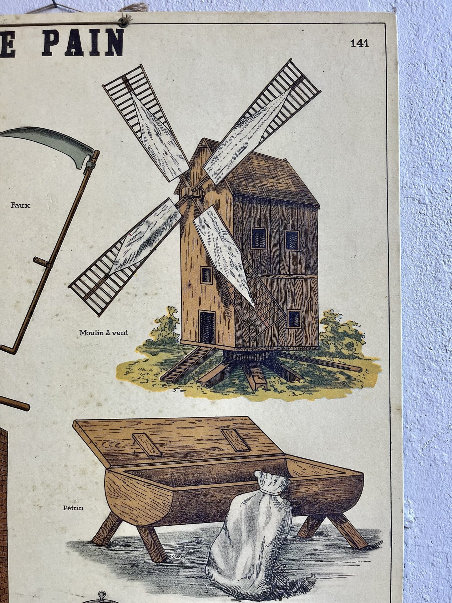 Affiche pain Deyrolle