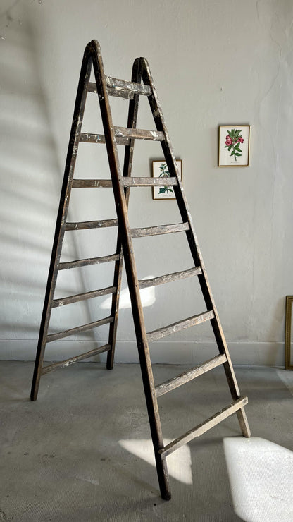 Échelle ancienne en bois – échelle de peintre vintage