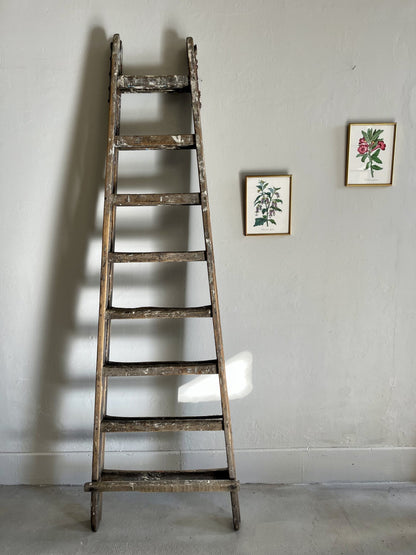 Échelle ancienne en bois – échelle de peintre vintage