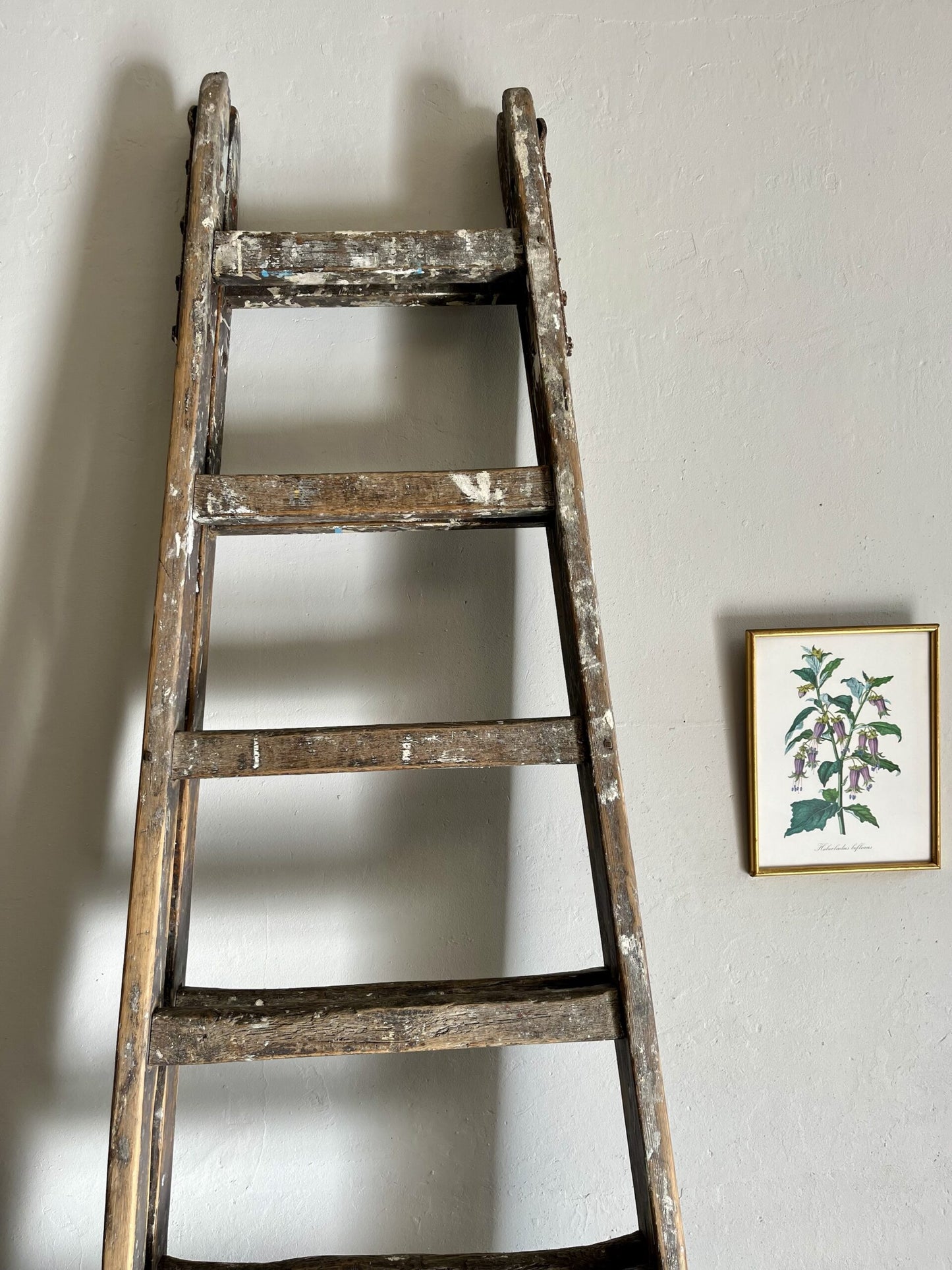 Échelle ancienne en bois – échelle de peintre vintage