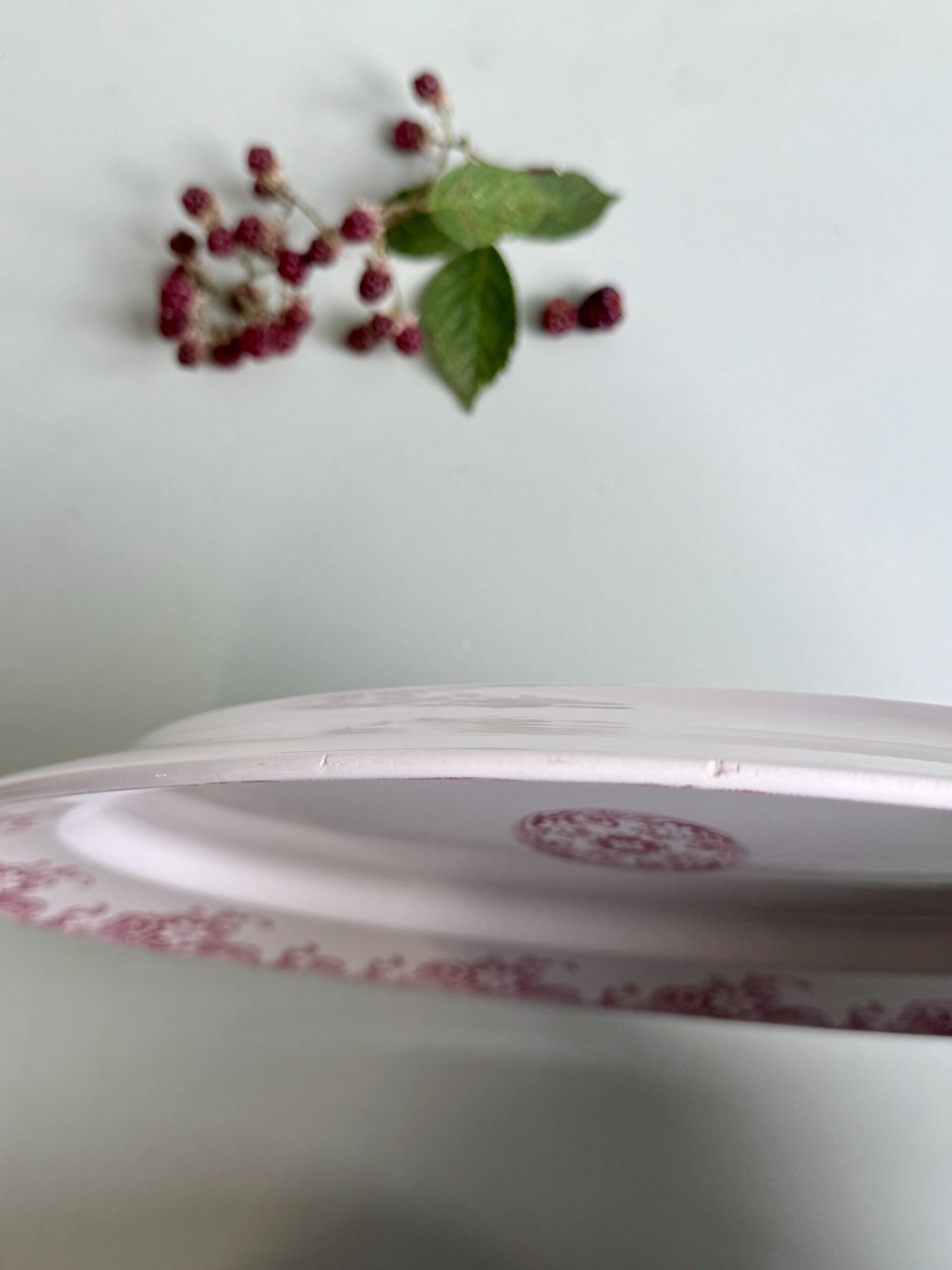 Plat ovale Sarreguemines modèle Lerida