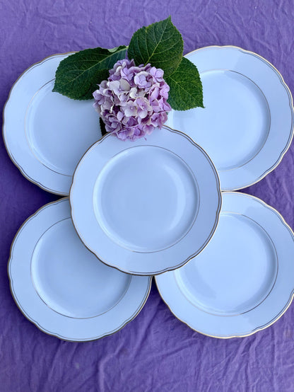 6 assiettes plates