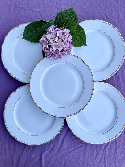 6 assiettes plates