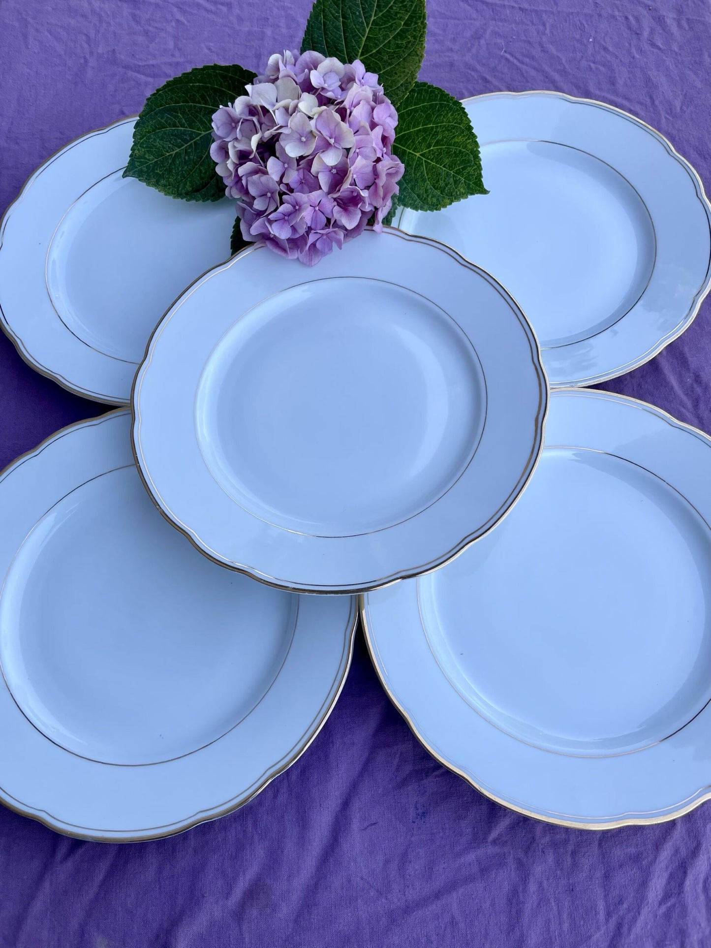 6 assiettes plates
