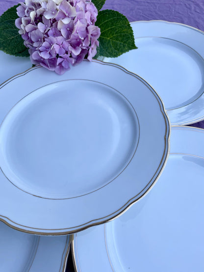 6 assiettes plates
