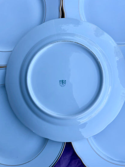 6 assiettes plates