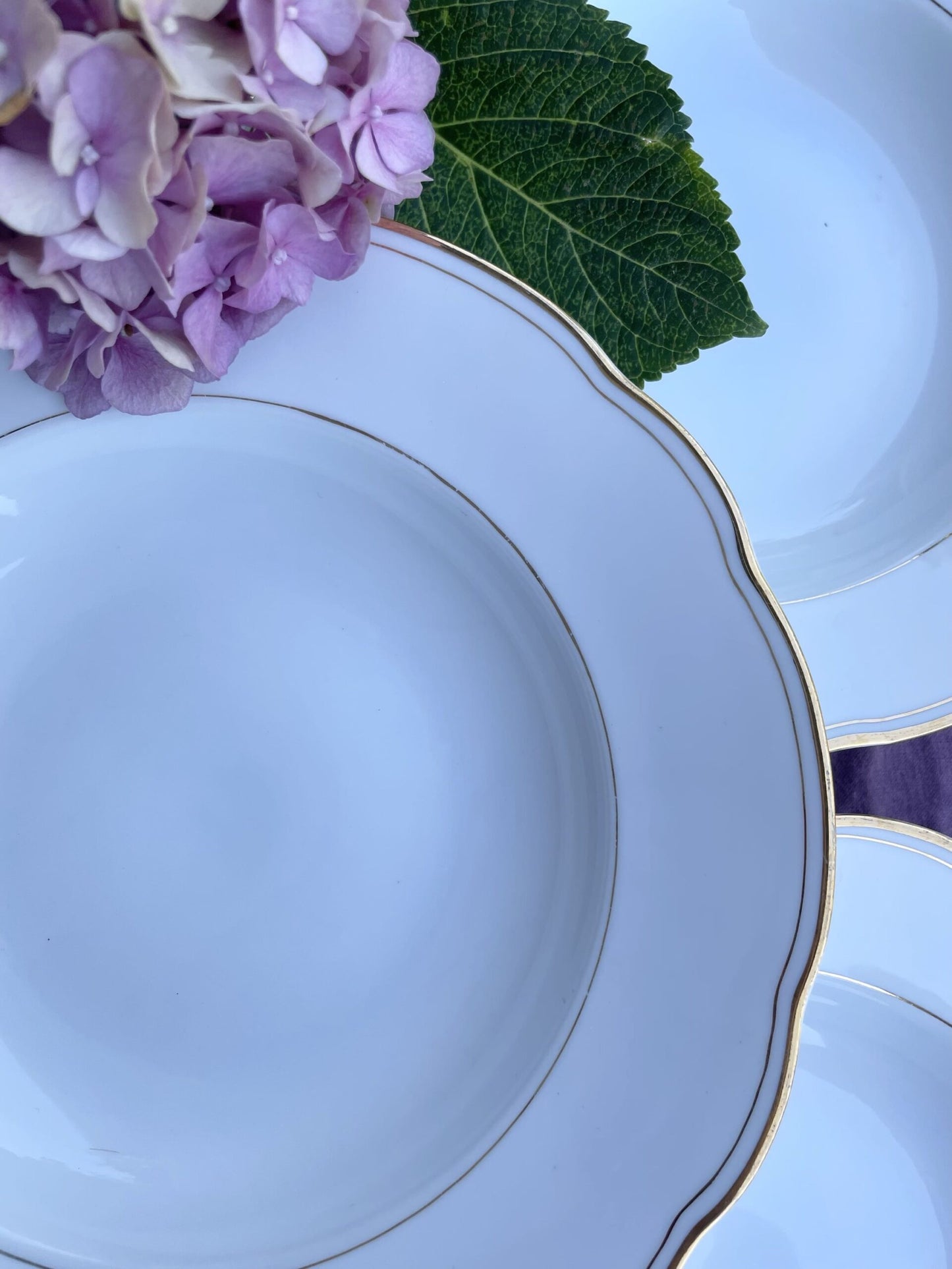 6 assiettes semi-creuses