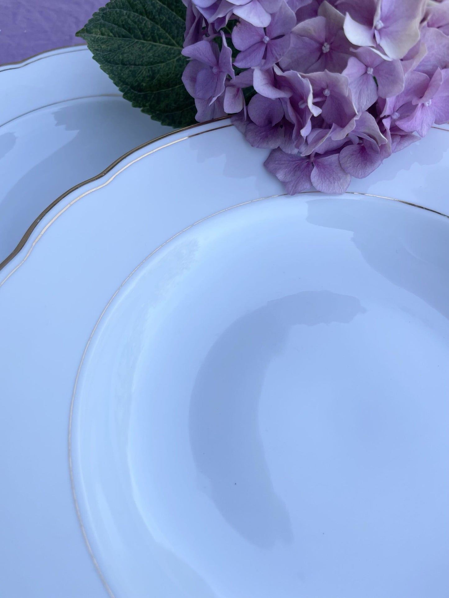 6 assiettes semi-creuses