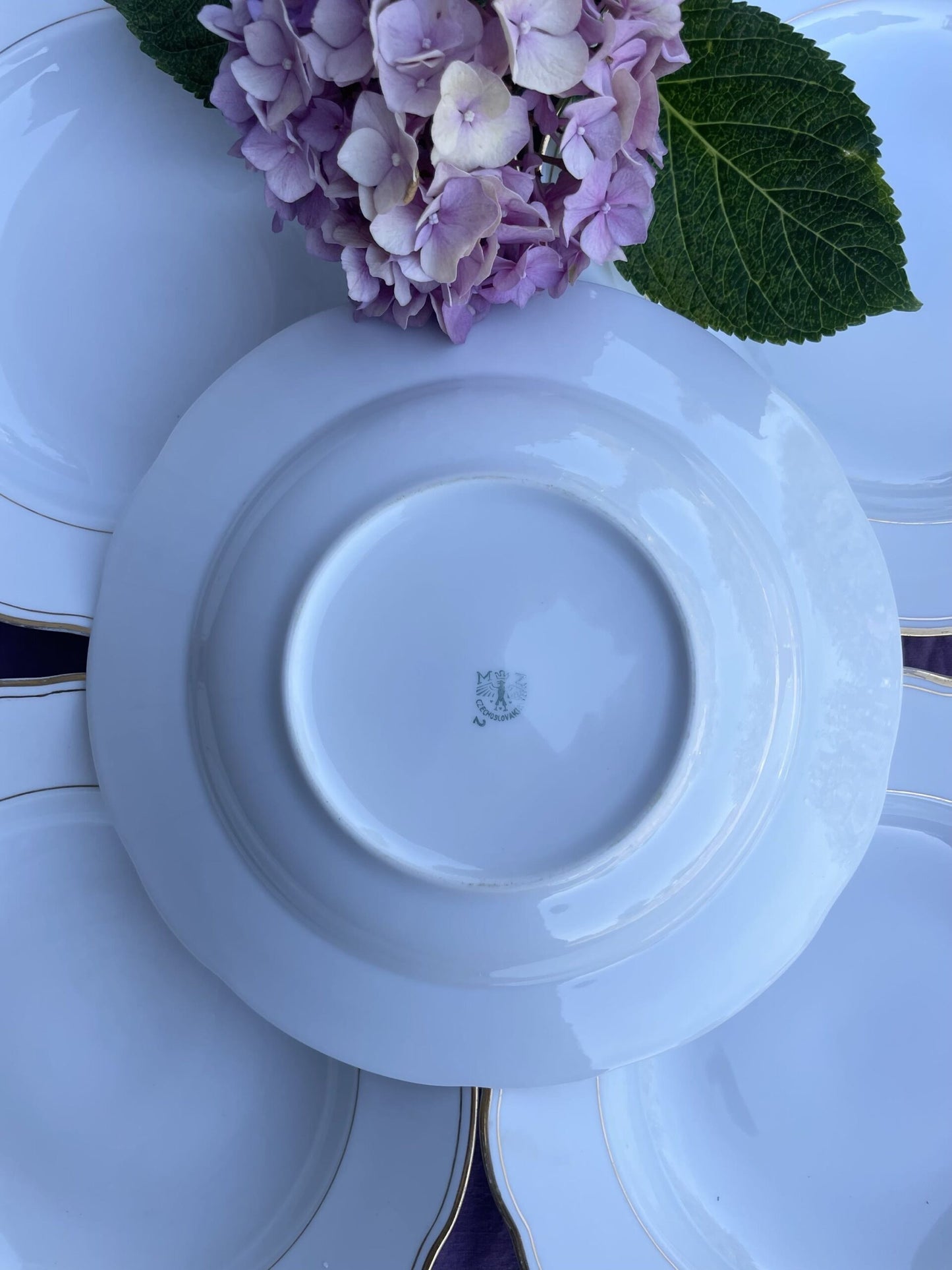 6 assiettes semi-creuses