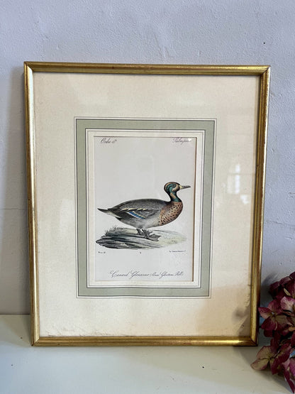 Lithographie canard portrait