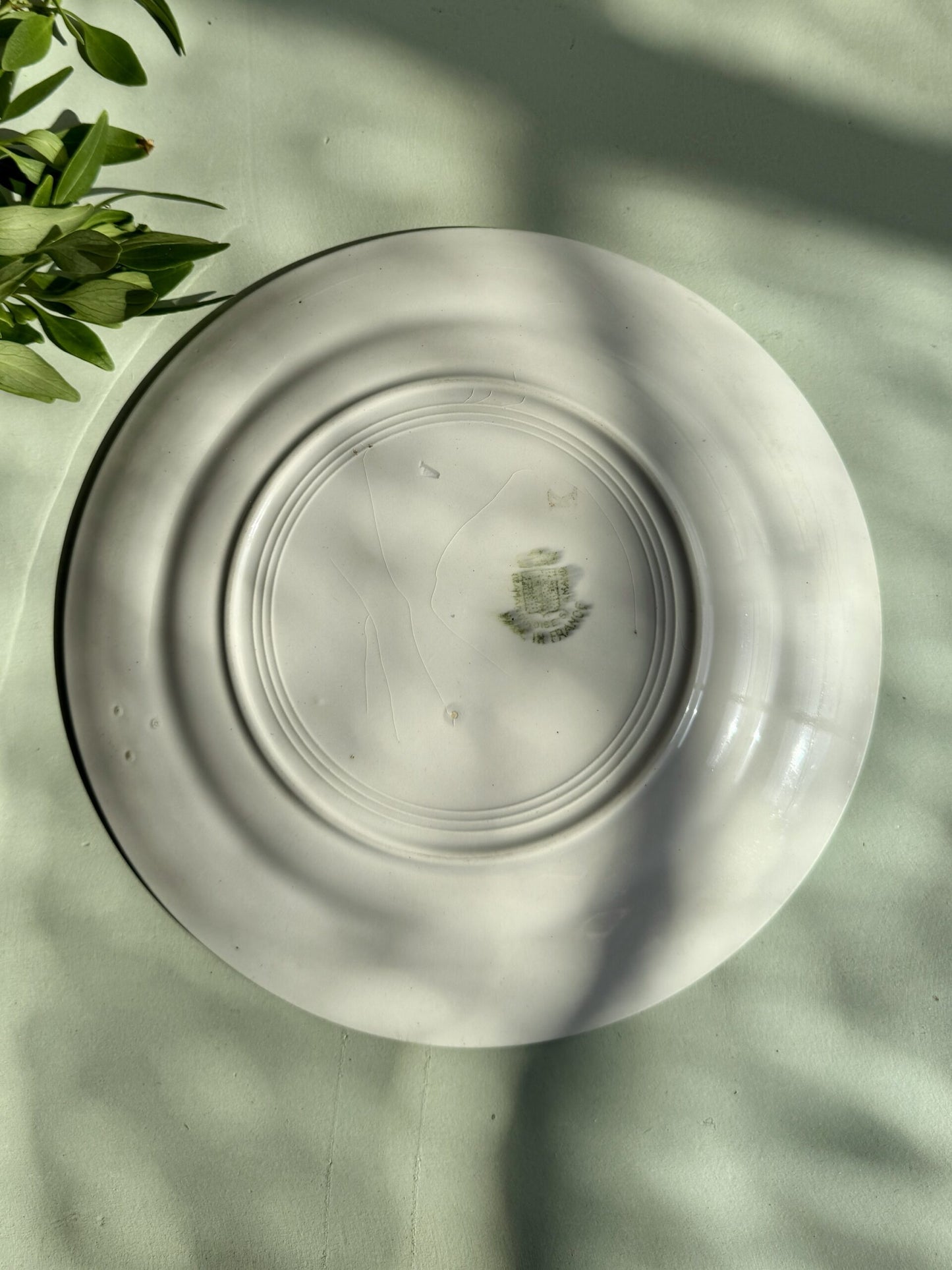 1 assiette plate Saint-Amand