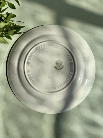 1 assiette plate Saint-Amand