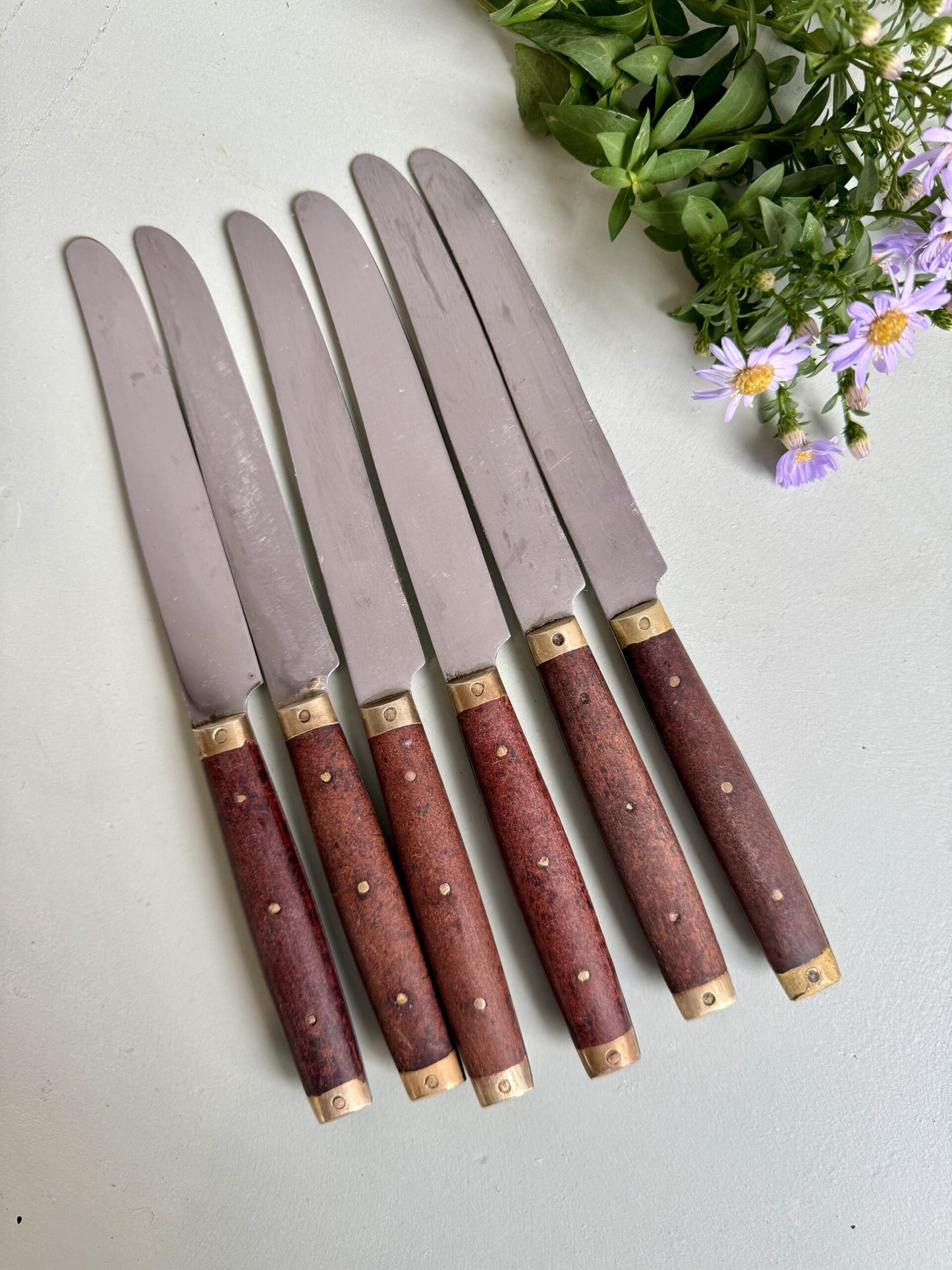 Lot de 6 couteaux à manche en bois