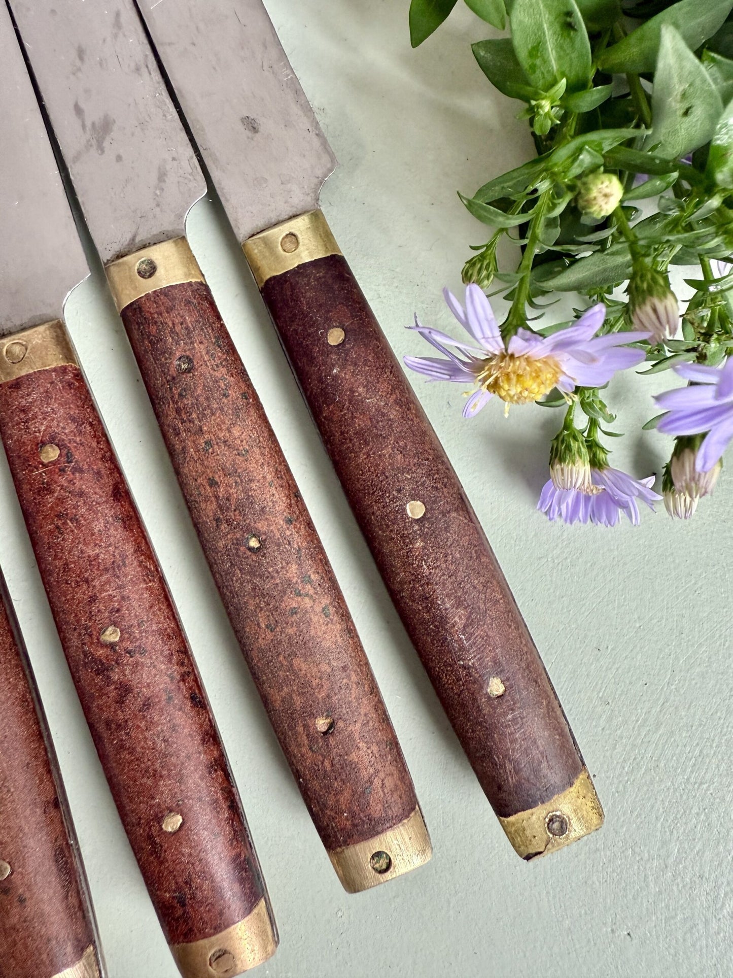 Lot de 6 couteaux à manche en bois