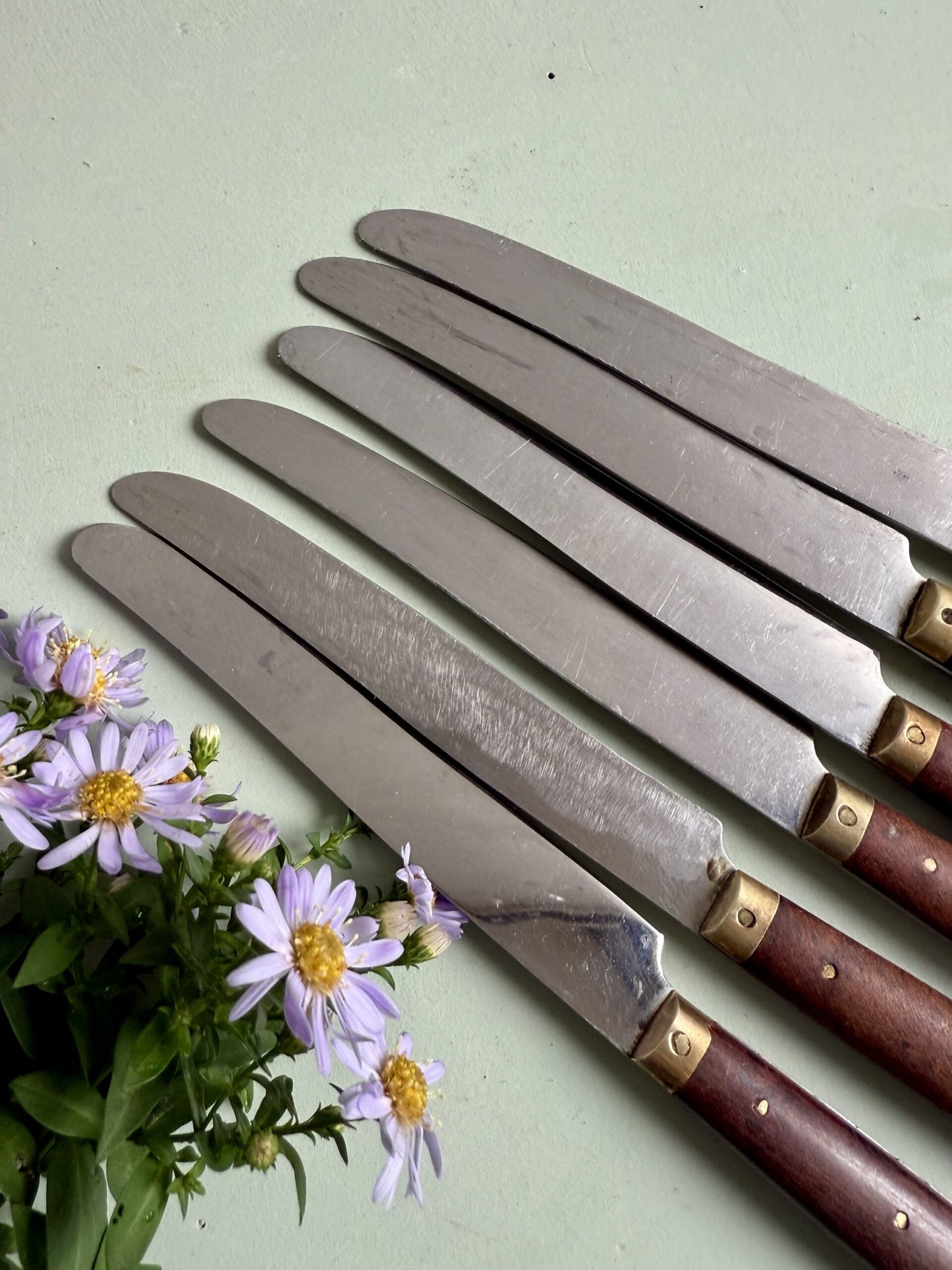 Lot de 6 couteaux à manche en bois