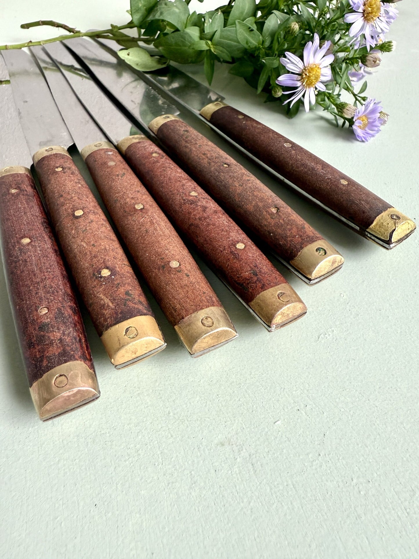 Lot de 6 couteaux à manche en bois