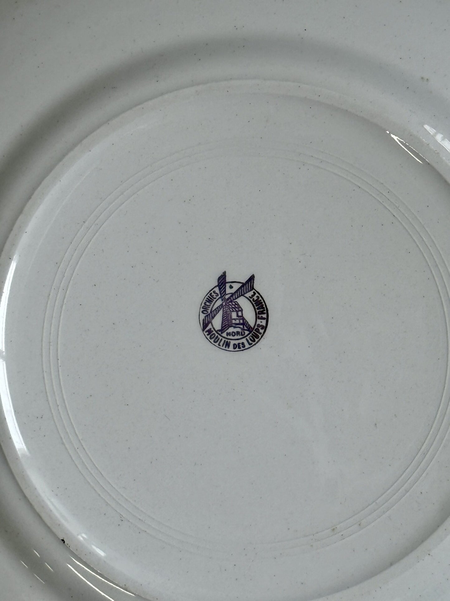Assiettes plates Moulin des Loups modèle Orchies - lot de 5