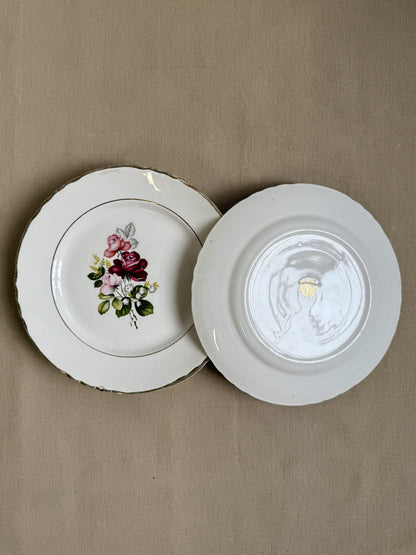 Assiettes plates Moulin des Loups modèle Orchies - lot de 5