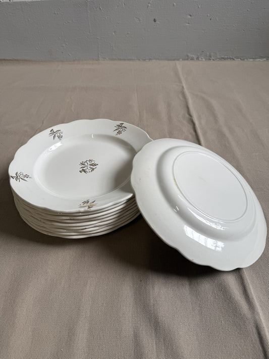Lot de 10 assiettes plates en faïence blanche