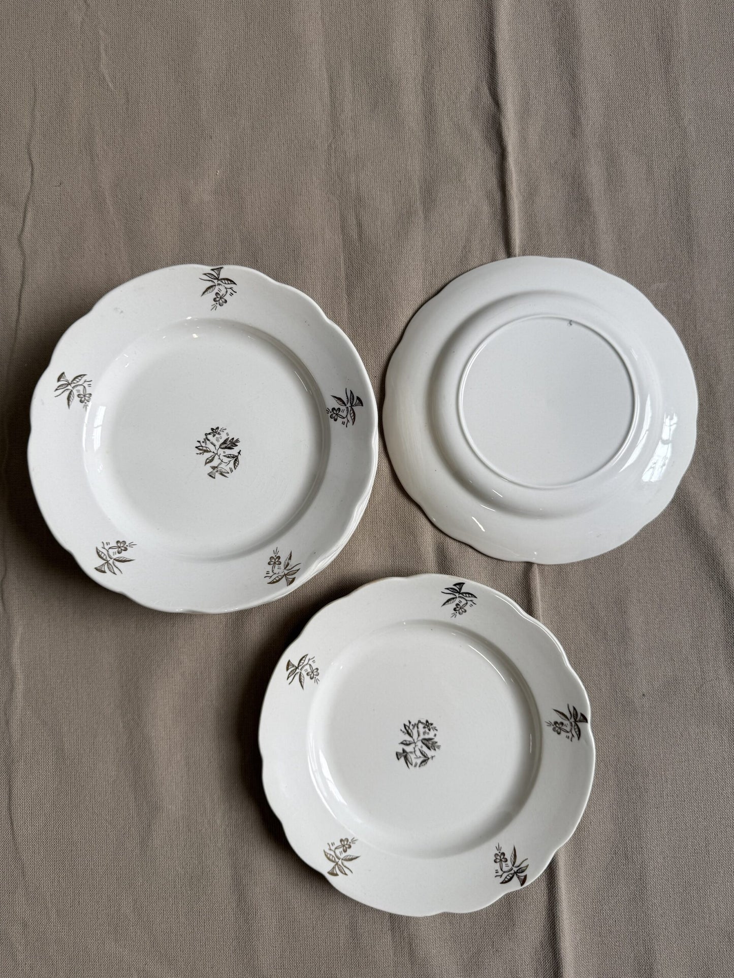 Lot de 10 assiettes plates en faïence blanche