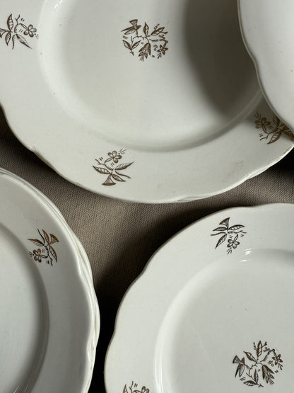 Lot de 10 assiettes plates en faïence blanche