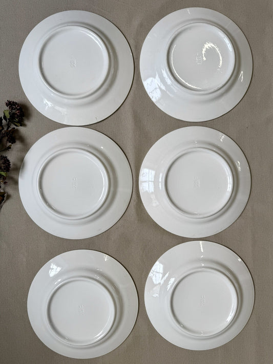 Assiettes plates faïence bleu et blanc 24 cm – lot de 6