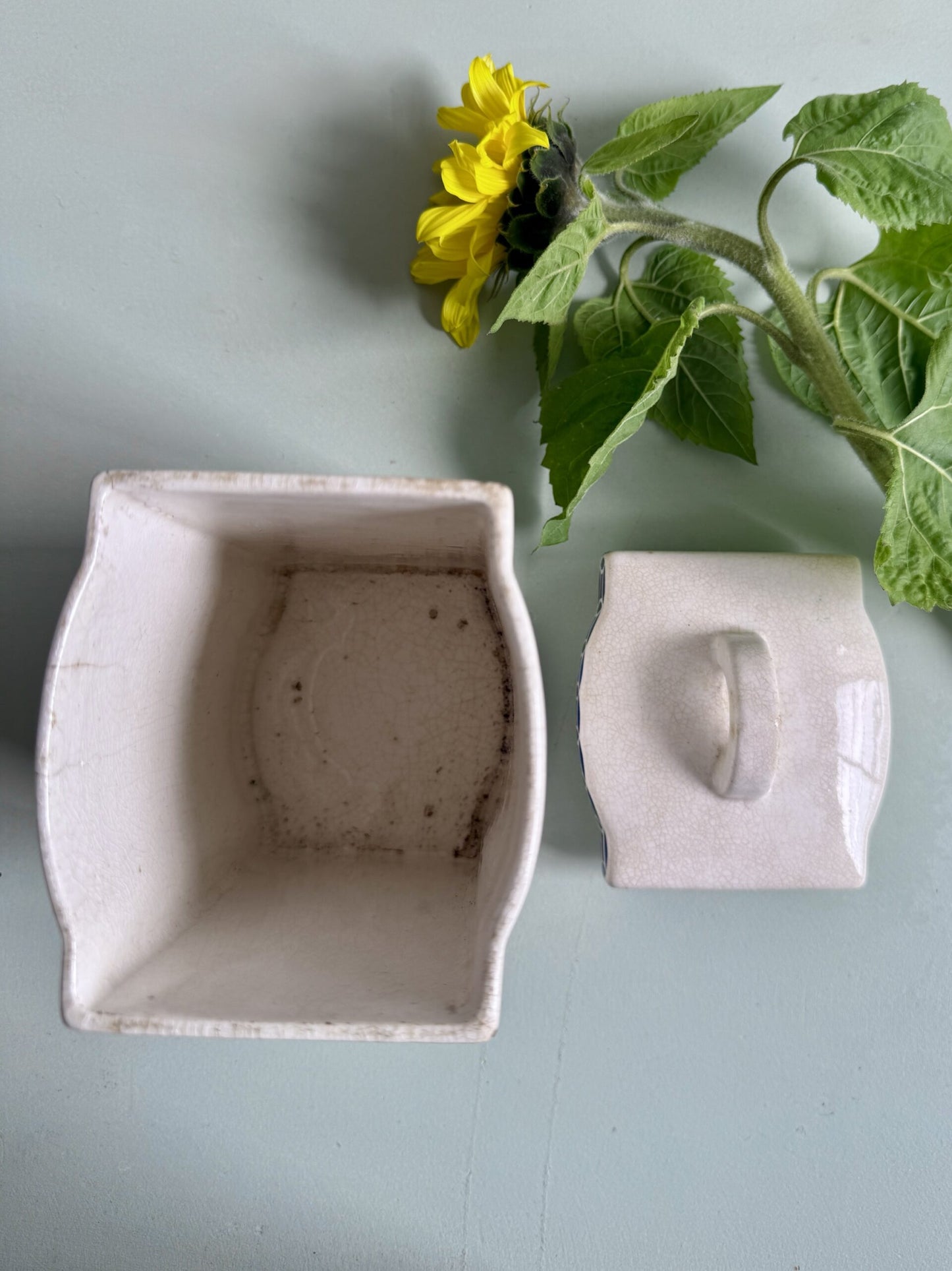 Pot à épices en faïence Chicorée