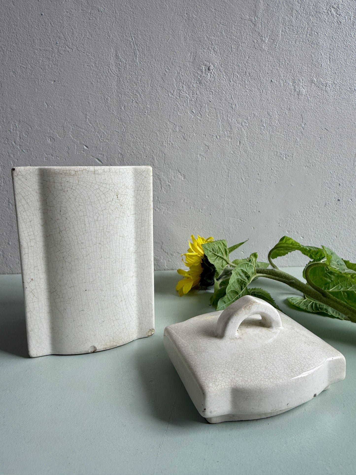 Pot à épices en faïence Chicorée