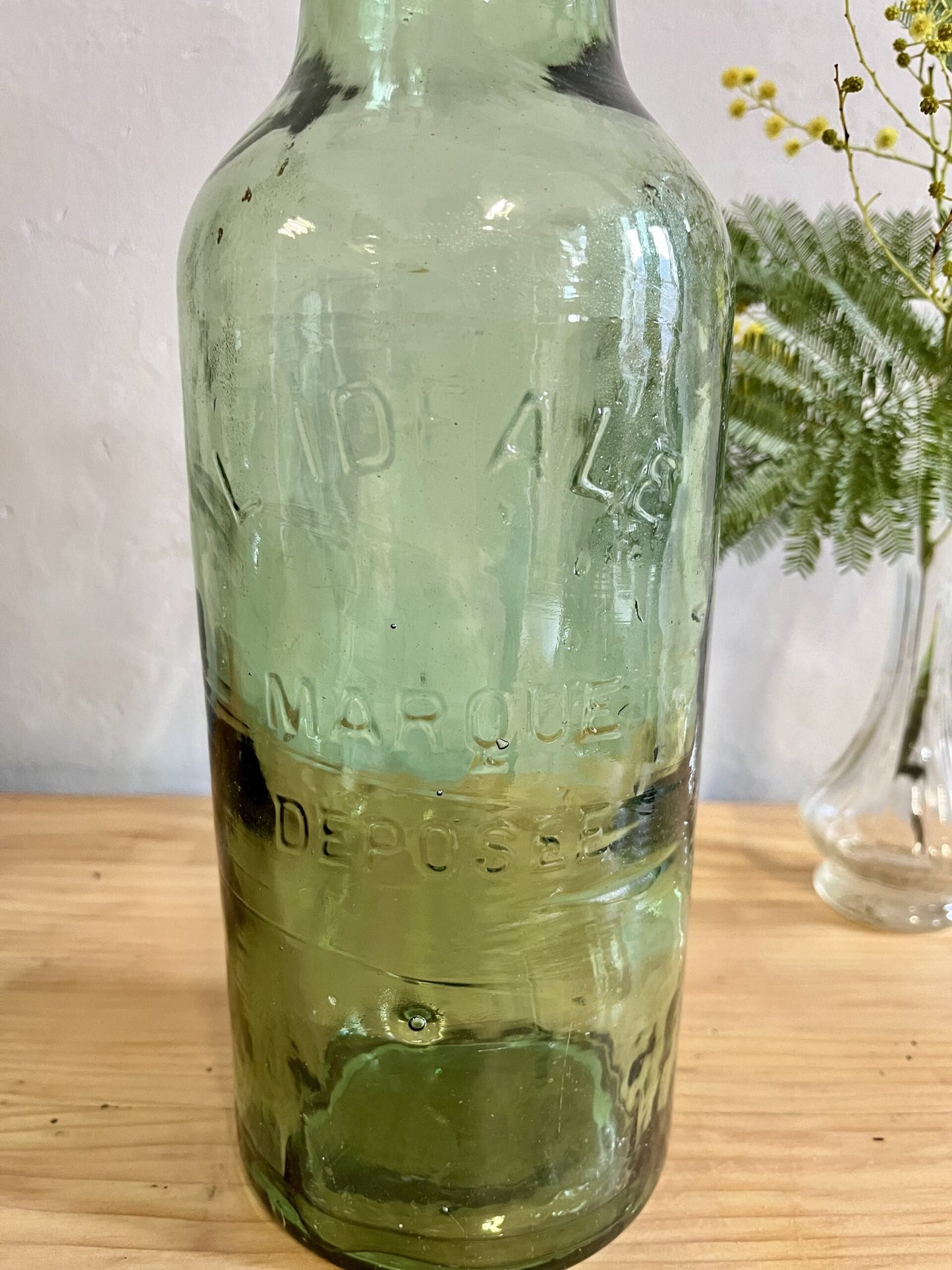 Bouteille conserve « l’idéale »