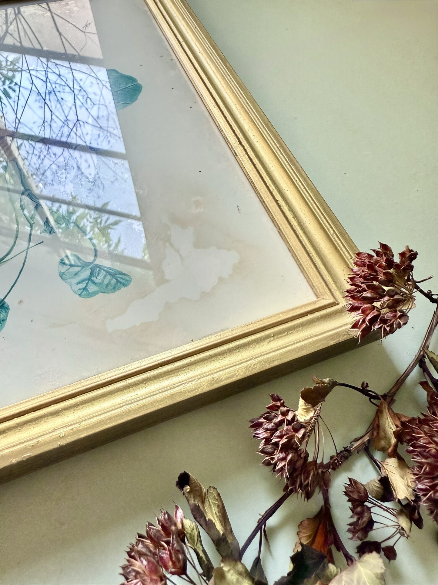 Tableau lithographie de capucine