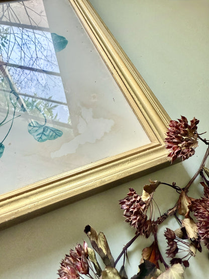 Tableau lithographie de capucine