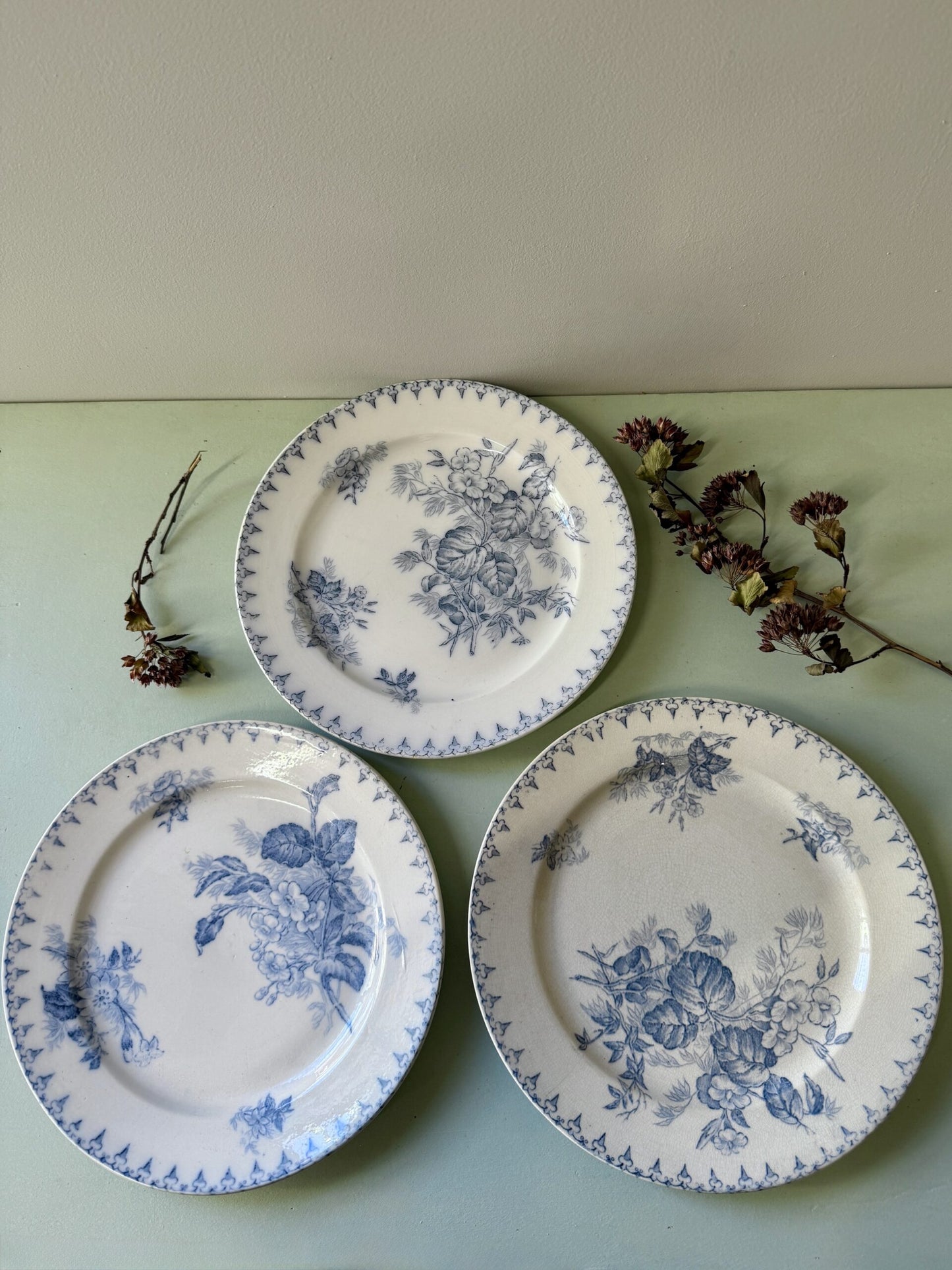 Assiettes modèle Flore de Sarreguemines - lot de 3