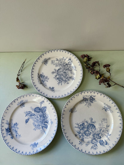 Assiettes modèle Flore de Sarreguemines - lot de 3