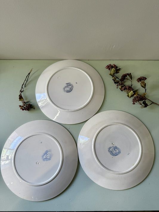 Assiettes modèle Flore de Sarreguemines - lot de 3