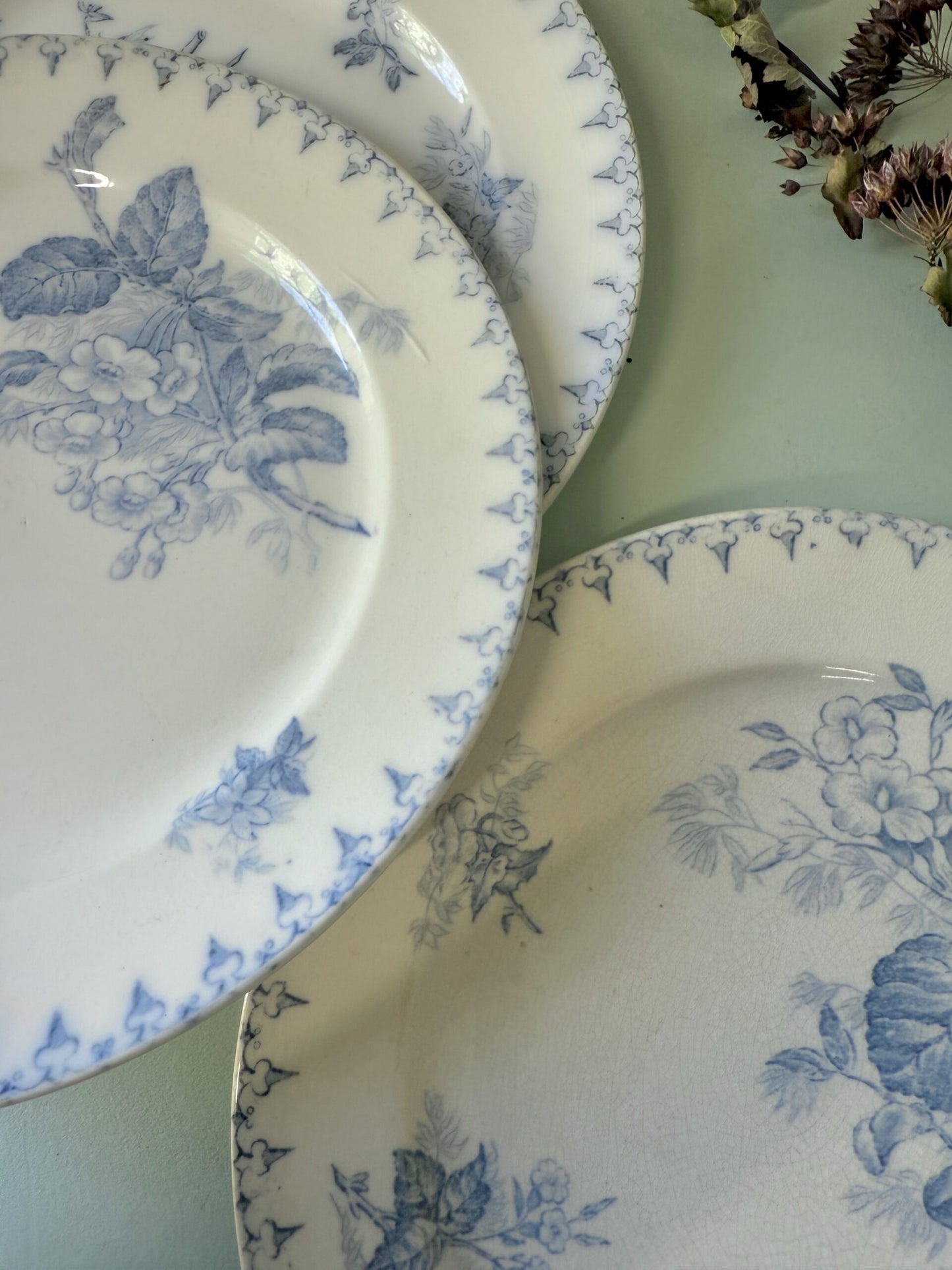 Assiettes modèle Flore de Sarreguemines - lot de 3