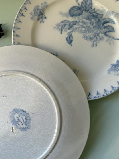 Assiettes modèle Flore de Sarreguemines - lot de 3