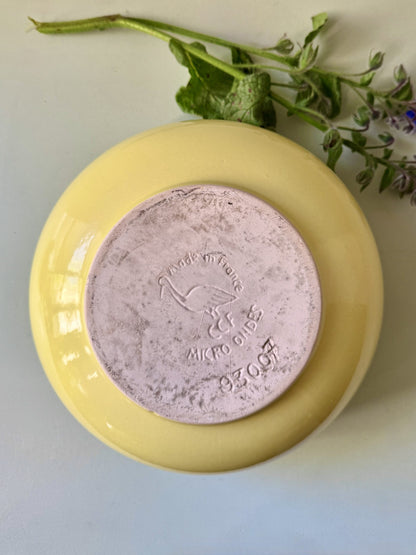 Grand saladier jaune avec liseré bleu