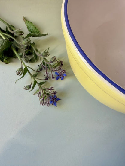 Grand saladier jaune avec liseré bleu