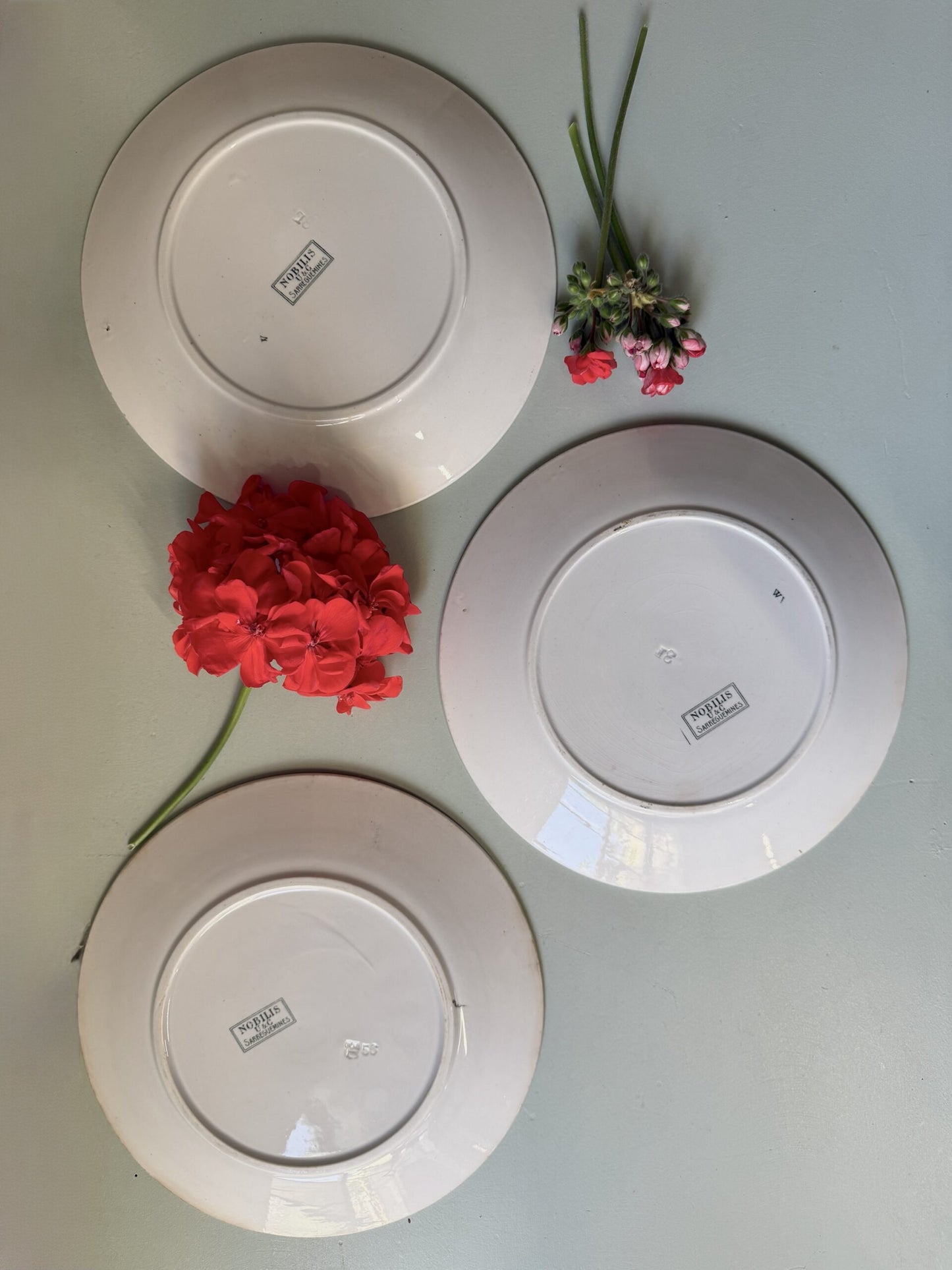 Assiettes plates Sarreguemines modèle Nobilis - lot de 3