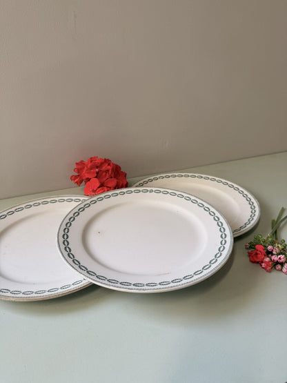 Assiettes plates Sarreguemines modèle Nobilis - lot de 3